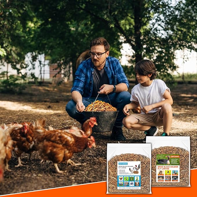 Dried Black Soldier Fly Larvae 4 LB,Chicken Feed, Hamster Food,More Calcium Than Dried Mealworms High-Protein Chickens Treats, Food for Wild Birds, Ducks, Layer Hens(4 LB)