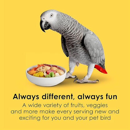 Kaytee Fiesta Parrot Food, Nutritious and Fun Blend, Supports Skin, Feather, Digestion, Brain and Heart Health, 4.5 pounds