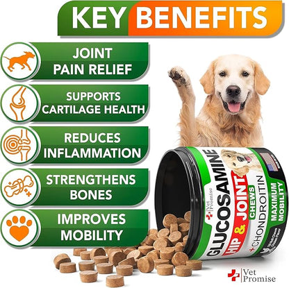 (2 Pack) Glucosamine for Dogs - Hip and Joint Supplement for Dogs - Glucosamine Chondroitin - Joint Pain Relief Pills - MSM - Hemp Oil - Advanced Health Support Supplement - 240 Mobility Chews