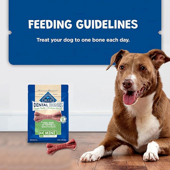 Blue Buffalo Dental Bones Mini Natural Dental Chew Dog Treats Bag, 12oz. Bag