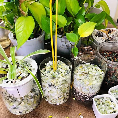 CJGQ 18lb Natural Gravel for Aquarium Succulents Bonsai Terrarium Fish Tank,1/5" Decorative Stone for Plants Indoor