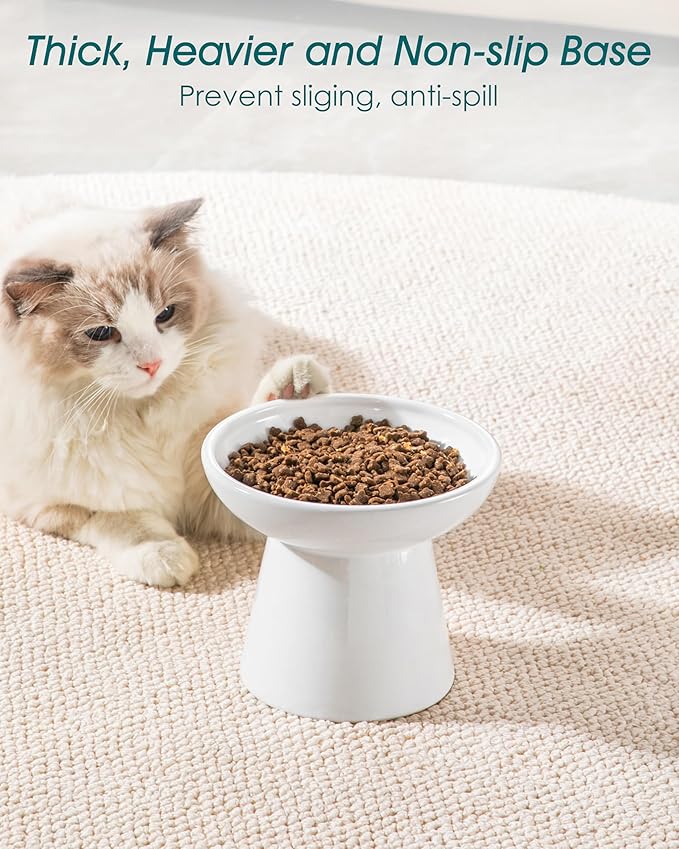 vancasso Elevated Cat Bowls 2-Pack, Ceramic Raised Cat Food and Water Dishes with 5.1" Height & 6.2" Wide Opening - Anti Vomit, Whisker Fatigue Relief for Senior Cats, Kittens and Small Dogs (White)