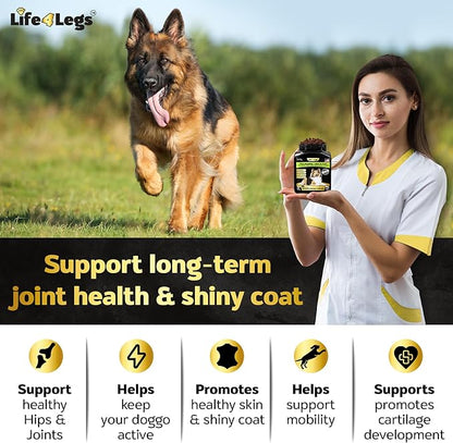 Hip and Joint Chews for Dogs + Skin and Coat Supplement - Dog Joint Pain Relief Treats - Glucosamine, Chondroitin, MSM, Hemp Oil, Turmeric, Omega 3 for Dogs, Mobility Dog Health Supplies