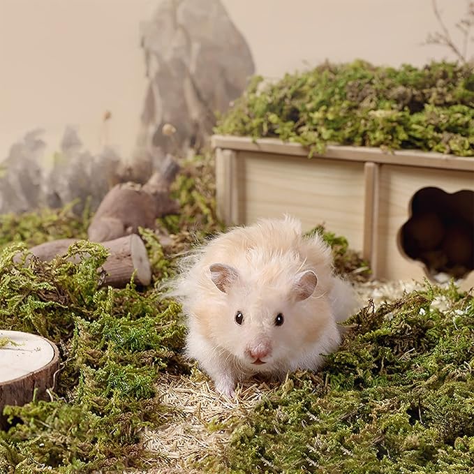 DR.DUDU 15L Forest Moss for Hamster Bedding Nesting, Syrian Gerbils Hamster Cages Accessories, Perfect for Small Animals Terrarium Moss