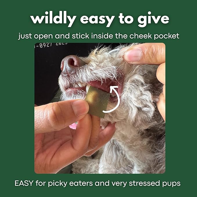 Calming Strips for Dogs 4-in-1 – 10 Strips – Relaxation Support with Chamomile, L-Theanine, Tryptophan & Melatonin for Dogs – Supports Calm During Fireworks, Storms & Travel – Pet Zen Formula