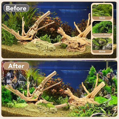 Natural Large Spiderwood Driftwood for Aquarium Decor Rptile Fish Tank Decoration Assort Branch 11-14'' 2 Pcs