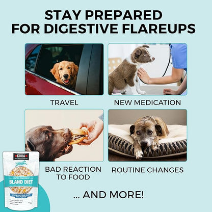 KOHA Pet Limited Ingredient Bland Diet for Dogs Value Pack, Lamb and White Rice Recipe Sensitive Stomach Wet Dog Food, Gentle Formula Easy to Digest Bland Diet Dog Food, Pack of 30