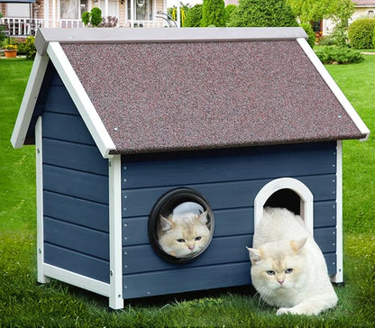 Rockever Outdoor Cat House, Feral Cat House Outdoor Weatherproof with Escape Door and Clear Windows for 2 Cats（Blue）