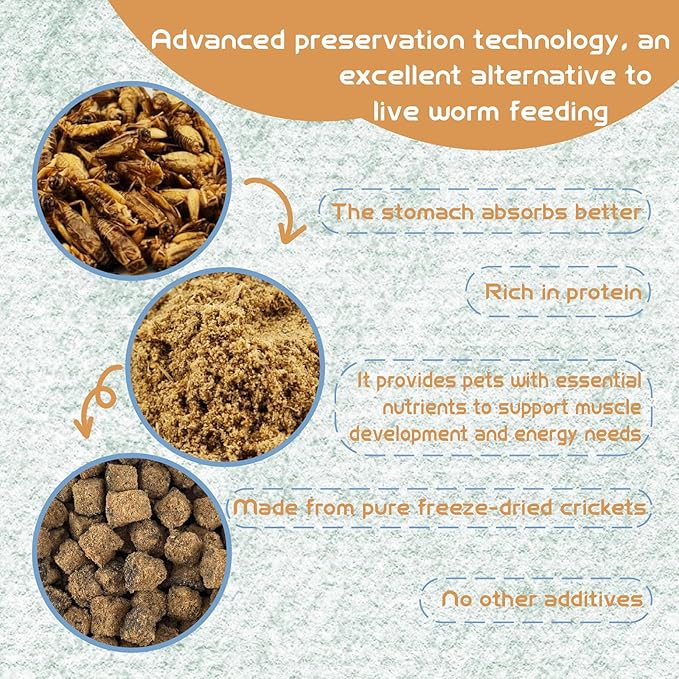 Naturals Freeze-Dried Cricket & Lizards Food Compressed Squares-Bite-Sized for Bearded Dragons, Wild Birds, Chicken, Fish & Reptiles 5.82 OZ