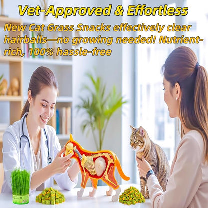 Cat Toy Grass Treats Freeze Dried 2 in 1 60g Fish Oil Chicken Cats Chew Grass Pellet Kitten Catnip for Hairball Removal Kitty Bite Snack for Cleaning Teeth Kitten Dental Food Indoor (2.12oz)