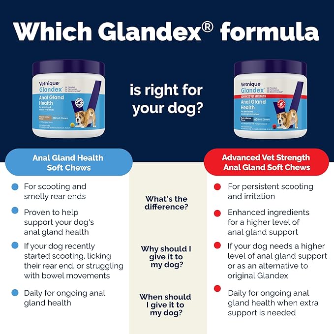 Vetnique Labs Glandex Anal Gland Soft Chew Treats with Pumpkin for Dogs Digestive Enzymes, Probiotics Fiber Supplement for Dogs Boot The Scoot (Peanut Butter Chews, 30 Count)