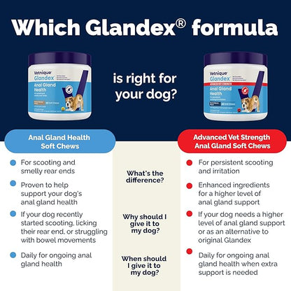 Vetnique Labs Glandex Anal Gland Soft Chew Treats with Pumpkin for Dogs Digestive Enzymes, Probiotics Fiber Supplement for Dogs Boot The Scoot (Peanut Butter Chews, 30 Count)