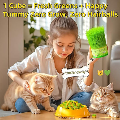 Cat Toy Grass Treats Freeze Dried 2 in 1 250g Fish Oil Chicken Cats Chew Grass Pellet Kitten Catnip for Hairball Removal Kitty Bite Snack for Cleaning Teeth Kitten Dental Food Indoor (8.82oz)