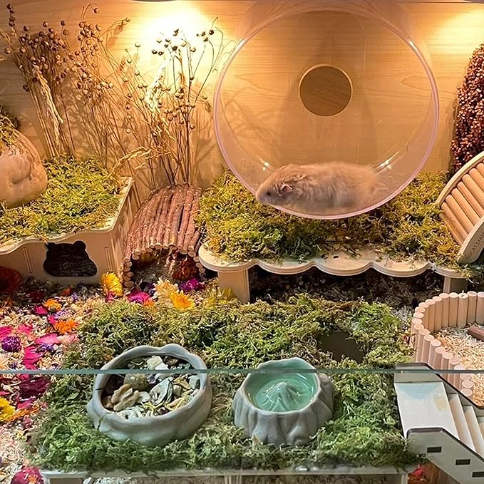 DR.DUDU 5L Forest Moss for Hamster Bedding Nesting, Syrian Gerbils Hamster Cages Accessories, Perfect for Small Animals Terrarium Moss