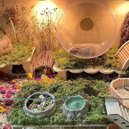 DR.DUDU 5L Forest Moss for Hamster Bedding Nesting, Syrian Gerbils Hamster Cages Accessories, Perfect for Small Animals Terrarium Moss