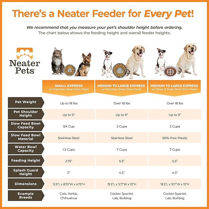 Neater Feeder Express Mess Proof Dog Bowls Elevated for Small Breeds Under 15 Lb, Made in USA, No Spill Raised Dog Food Bowl Stand, Stainless Steel Slow Feed and Standard Water Bowl Set, Cappuccino