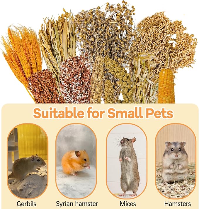 Natural Hamster Flower & Herb Habitat Deocr, Hamster Sprays Herbs Bedding Mate, Hamsters Cage Enrichment Decoration Accessories for Gerbil Dwarf Syrian Hamsters Mouse Guinea Pig Mice or Small Animals
