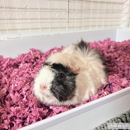 Kaytee Clean & Cozy Colors, Small Animal Bedding with Extreme Odor Control, Plum, 24.6 Liters