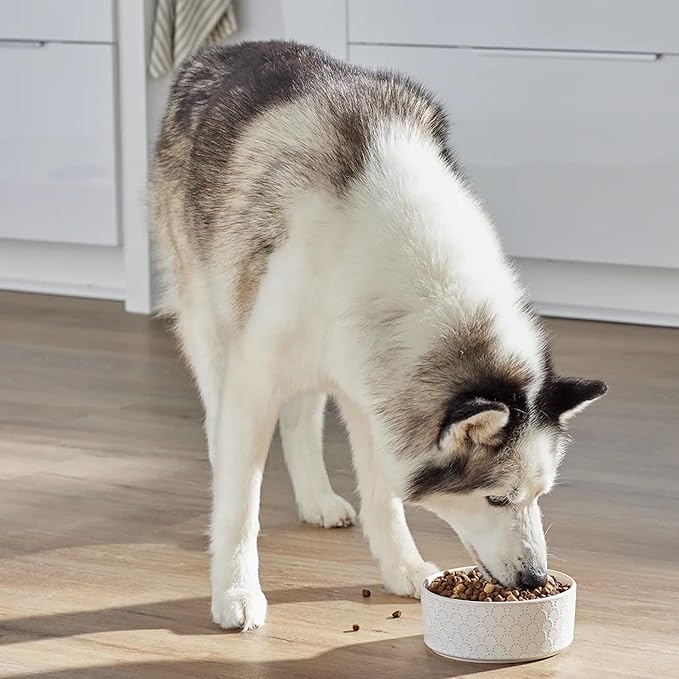 Open Farm, RawMix Dry Dog Food with Ancient Grains, Protein-Packed Kibble Coated in Bone Broth with Freeze Dried Raw Chunks, Pollock Beef & Salmon, Tide & Terrain Recipe, 20lb Bag