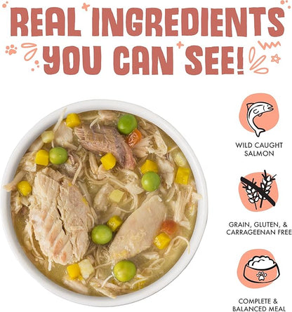 Weruva Classic Dog Food, Jammin' Salmon with Chicken & Salmon in Gravy, 14oz Can (Pack of 12), Red (Jammin’ Salmon)
