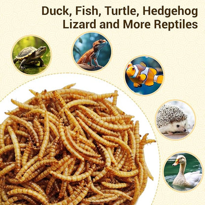 Dried Mealworms 5Lbs, High-Protein Bulk Mealworms, 100% Non-GMO Mealworm Treats for Birds, Chickens, Turtles, Fish, Hamsters and Hedgehogs All Natural Animal Feed
