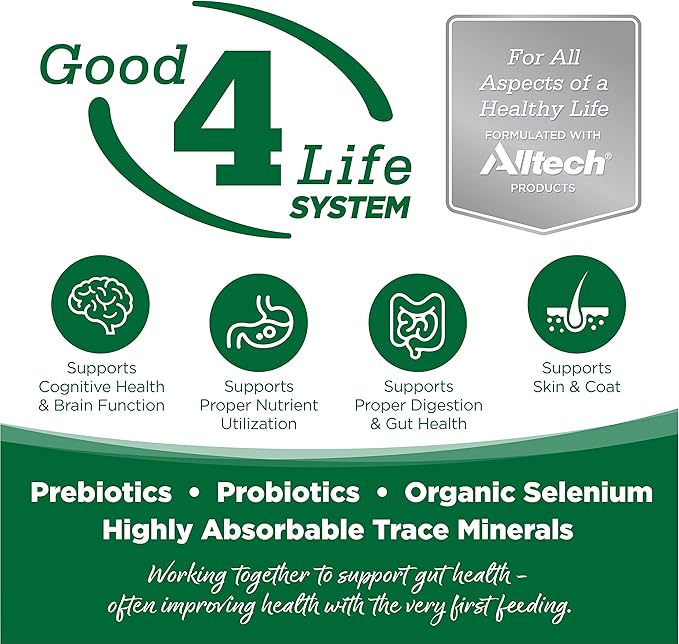 NutriSource Dry Dog Food, Turkey and Rice, 26LB