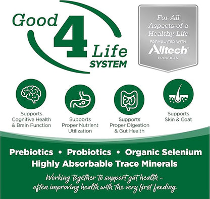 NutriSource Dry Dog Food, Turkey and Rice, 26LB