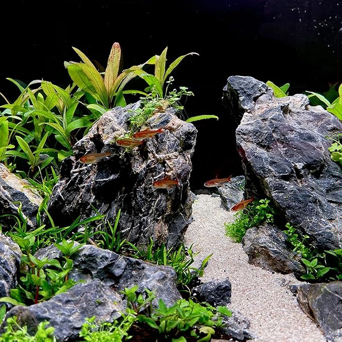 18-20 Inches Natural Seiryu Stone 1 PCS Ultra Large Aquarium Rocks for Aquascaping, Aquarium Landscaping, Terrariums, Fish Tank Decoration, Vivariums, Paludarium, Amphibian Enclosures
