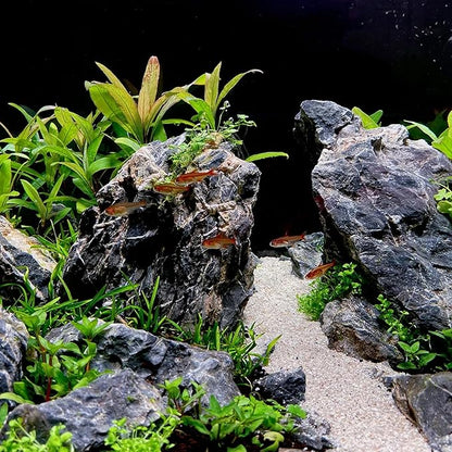 2-6 Inches Natural Seiryu Stone 4 PCS Aquarium Rocks for Aquascaping, Aquarium Landscaping, Terrariums, Fish Tank Decoration, Vivariums, Paludarium, Reptile and Amphibian Enclosures