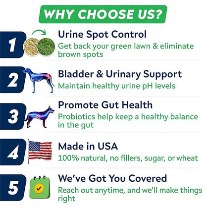 STRELLALAB Green Grass Dog Chews - Dog Pee Grass Helper - Supplement Urine Neutralizer for Grass Burn Spots - Grass Treatment for Pet Urine - Pee Lawn Repair Treats with Probiotics - Made in USA