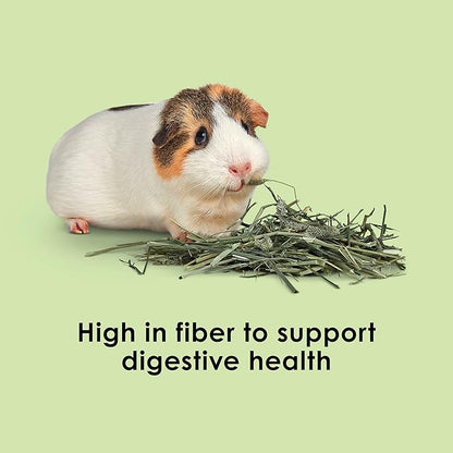 Kaytee Timothy Hay, High Fiber, Grown Specifically for Small Animals, Rabbits, Guinea Pigs, Chinchillas, 48 Ounces