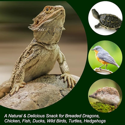 Amzey Appetizing Mealworms with Natural Dried Crickets (8oz) All Natural 100% Non-GMO, Food for Breaded Dragons, Chicken, Fish, Ducks, Wild Birds, Turtles, Hedgehogs