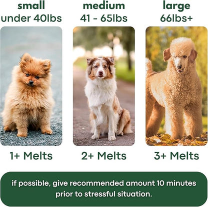 Calming Strips for Dogs 4-in-1 – 10 Strips – Relaxation Support with Chamomile, L-Theanine, Tryptophan & Melatonin for Dogs – Supports Calm During Fireworks, Storms & Travel – Pet Zen Formula