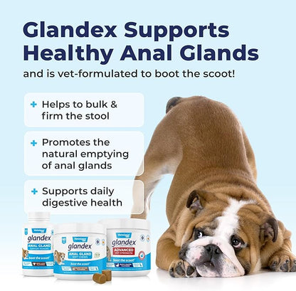 Vetnique Labs Glandex Anal Gland Soft Chew Treats with Pumpkin for Dogs Digestive Enzymes, Probiotics Fiber Supplement for Dogs Boot The Scoot (Pork Liver Chews, 60 Count)
