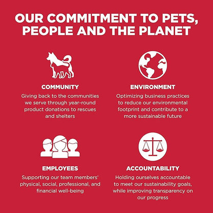 Go! Solutions Skin + Coat Care, Dry Dog Food, Lamb Recipe with Grains, 22 lb Bag