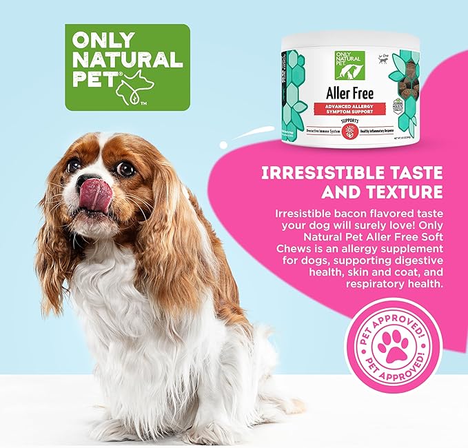 ONLY NATURAL PET AllerFree Advanced Allergy Support for Dogs w/Quercetin & Probiotics - Immune, Respiratory, Skin & Coat Health - Itchy Paws & Licking - Bacon-Flavored 60 Soft Chewable