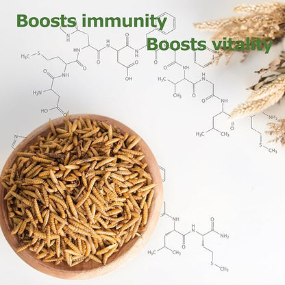 5LB Dried Black Soldier Fly Larvae, Non-GMO & Nutrient-Packed Chicken Feed, Strong Egg Production and Health, Rich in Calcium for Healthy Hens and Ducks, Better Than Dried Mealworms
