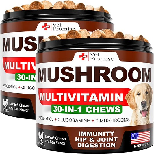 (2 Pack) Mushroom for Dogs - 340 Chews - Turkey Tail - Mushroom Supplement for Dogs - Lions Mane - Reishi - Immunity Support Multivitamin Vitamins - Joint Health - Energy - Gut - Skin - Made in USA