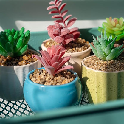 10 lbs Aquarium Gravel, 1-2mm Fish Tank Gravel, Premium Gravel and Substrate for Aquariums, Fish Tanks and Terrariums, XiL-1-2-10