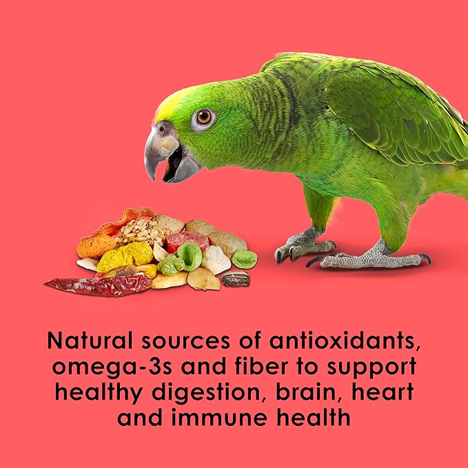 Kaytee Fiesta Parrot Food, Nutritious and Fun Blend, Supports Skin, Feather, Digestion, Brain and Heart Health, 2.5 pounds