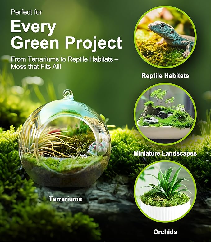 Live Moss Duo Pack – 2 Varieties Mixed Moss for Reptile Terrariums, Amphibian Habitats, Bonsai, Vivariums