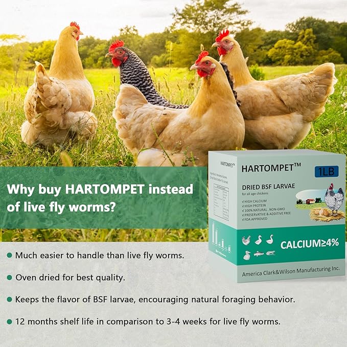 HARTOMPET Better Than Dried Mealworms for Chickens 1 lbs - 85X Calcium Than MealWorms - Non-GMO Chicken Feed Additive & Molting Supplement - black soldier fly larvae Treats for Hens, Ducks, Wild Birds