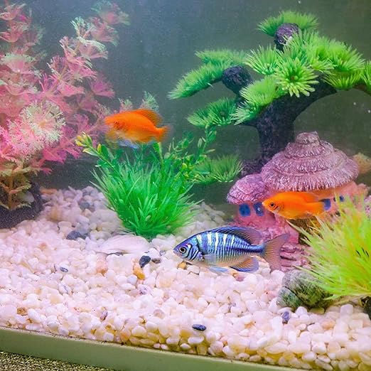 7lb Aquarium Gravel for Plants,1/5 Inch Natural Decorative River Rocks for Succulent and Cactus Landscaping, Natural Small Rocks for Fish Tanks, Vases & Terrariums