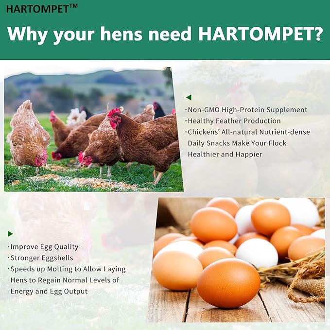 HARTOMPET Better Than Dried Mealworms for Chickens 1 lbs - 85X Calcium Than MealWorms - Non-GMO Chicken Feed Additive & Molting Supplement - black soldier fly larvae Treats for Hens, Ducks, Wild Birds