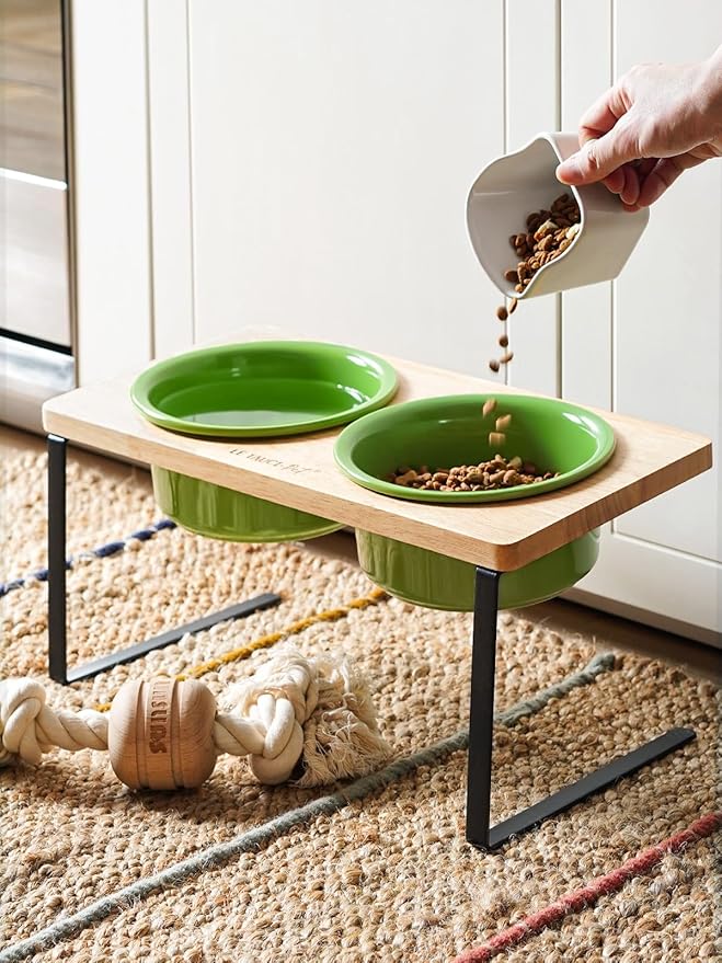 Elevated Dog Bowls, Raised Dog Bowl Stand with Two 6.5 inch Ceramic Bowl, Non-Slip Puppy Food and Water Bowls, Dogs Feeder for Small and Medium Breed,Green