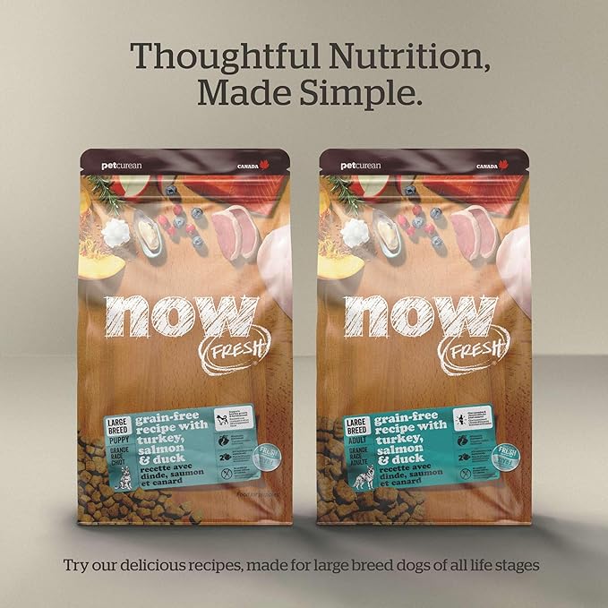 Now Fresh Grain-Free Large Breed Senior Dry Dog Food with Turkey, Salmon & Duck, Premium Kibble Made with Real Meat & Fish, Chicken-Free, Added Glucosamine & Chondroitin for Healthy Joints, 25 lb Bag