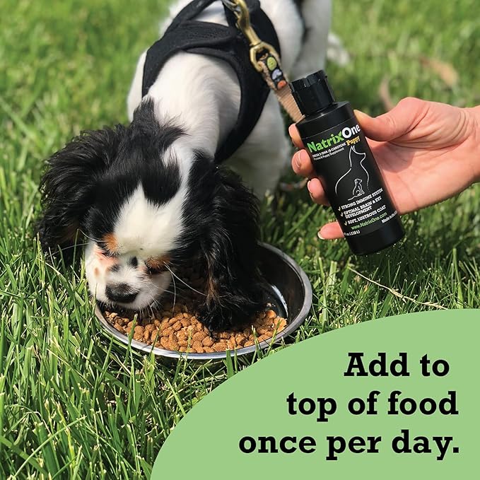 100% Pure Camelina Oil for Puppies, 8 oz - Puppy Immune System and Cognitive Development Booster, Protective Care - Omega 3 by NatrixOne