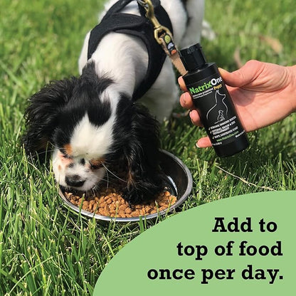 100% Pure Camelina Oil for Puppies, 8 oz - Puppy Immune System and Cognitive Development Booster, Protective Care - Omega 3 by NatrixOne