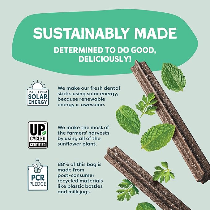 Shameless Pets Dental Chews for Dogs, Mighty Mint Dental Sticks, Healthy Treats for Teeth Cleaning & Fresh Breath - Free from Grain, Corn, & Soy for Small Dogs, 32 Sticks