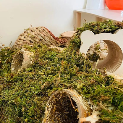 DR.DUDU 5L Forest Moss for Hamster Bedding Nesting, Syrian Gerbils Hamster Cages Accessories, Perfect for Small Animals Terrarium Moss